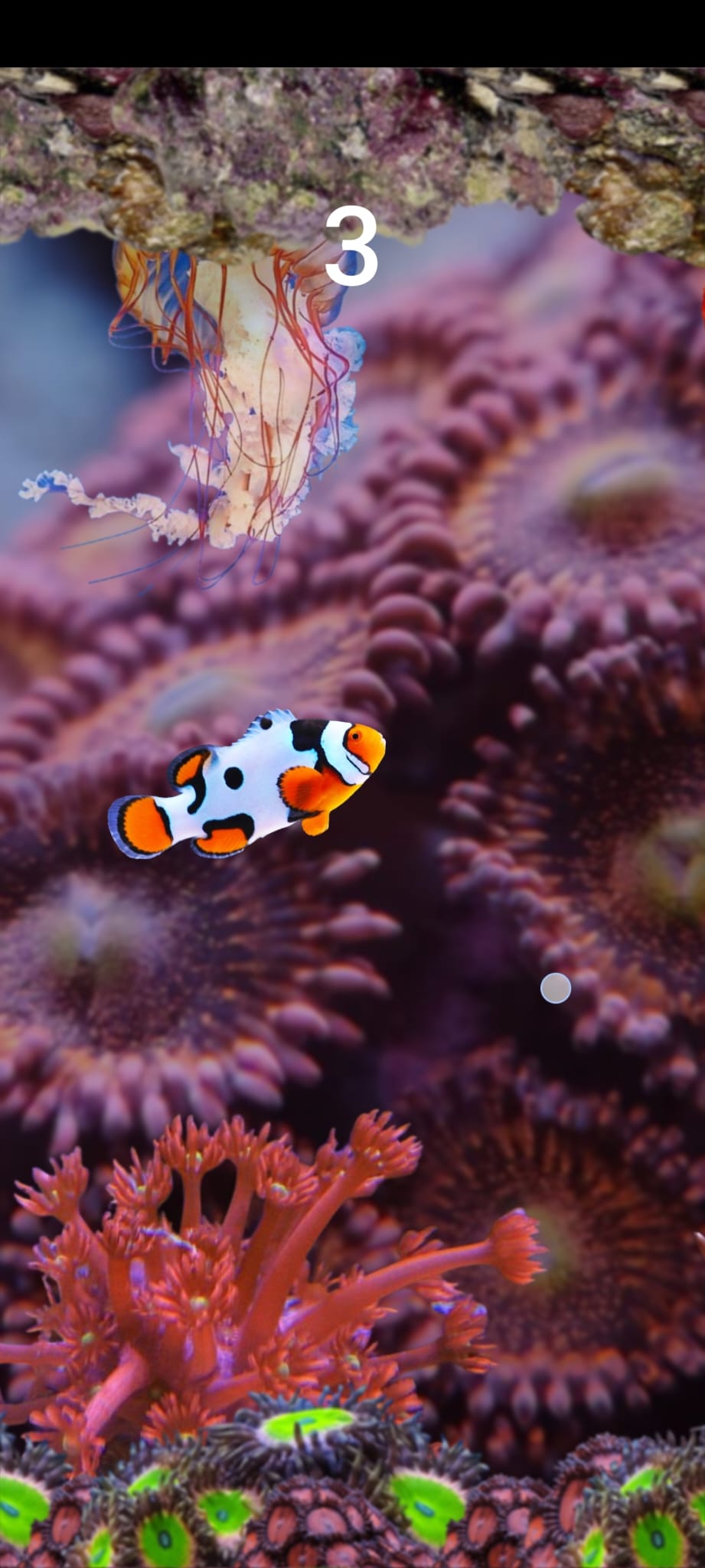 Reef'n Survive Community Game