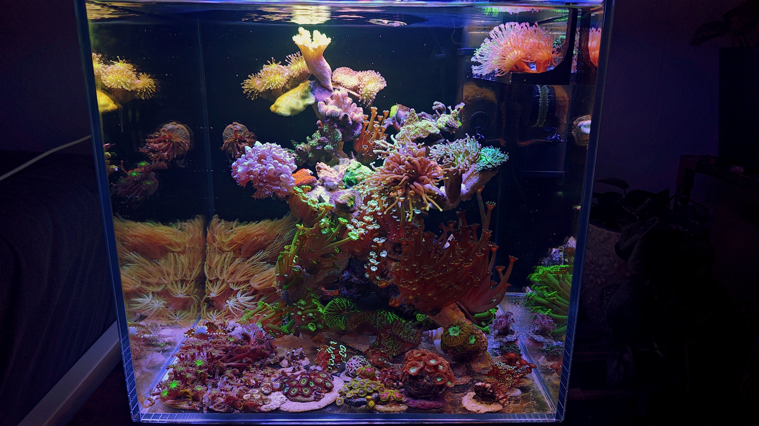 Vialia Cube nach 5 Wochen Standzeit